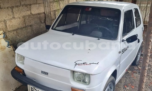 Comprar Usados Carro Fiat Polski Blanco en Havana en Habana Comprar Usados Carro Fiat Polski Blanco en Havana en Habana