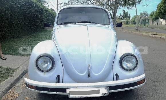 Comprar Usados Carro Volkswagen Escarabajo Blanco en Havana en Habana Comprar Usados Carro Volkswagen Escarabajo Blanco en Havana en Habana