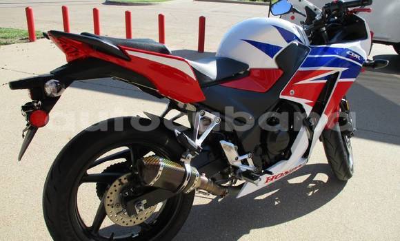 Comprar Usados Moto Honda CBR 1000 RR Rojo en Aguacate en Matanzas Comprar Usados Moto Honda CBR 1000 RR Rojo en Aguacate en Matanzas