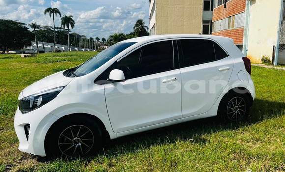 Comprar Usados Carro Kia Picanto Blanco en Antilla en Holguin Comprar Usados Carro Kia Picanto Blanco en Antilla en Holguin