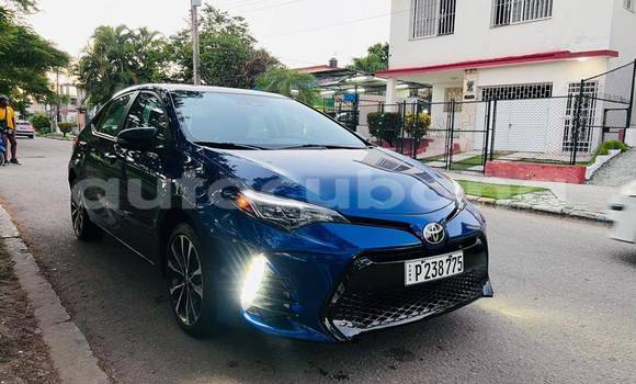Comprar Usados Carro Toyota Corolla Otro en Alacranes en Matanzas Comprar Usados Carro Toyota Corolla Otro en Alacranes en Matanzas