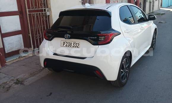 Comprar Usados Carro Toyota Corolla Blanco en Alacranes en Matanzas Comprar Usados Carro Toyota Corolla Blanco en Alacranes en Matanzas