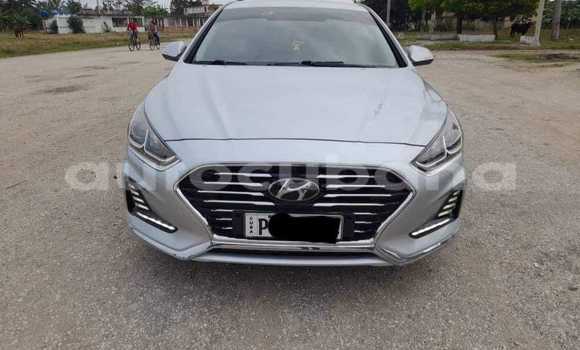 Comprar Usados Carro Hyundai Sonata Otro en Alacranes en Matanzas Comprar Usados Carro Hyundai Sonata Otro en Alacranes en Matanzas