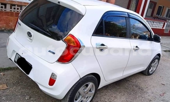 Buy Used Kia Picanto White Car in Aguada de Pasajeros in Matanzas Buy Used Kia Picanto White Car in Aguada de Pasajeros in Matanzas