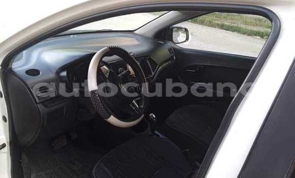 Comprar Usados Carro Kia Picanto Blanco en Aguada de Pasajeros en Matanzas Comprar Usados Carro Kia Picanto Blanco en Aguada de Pasajeros en Matanzas