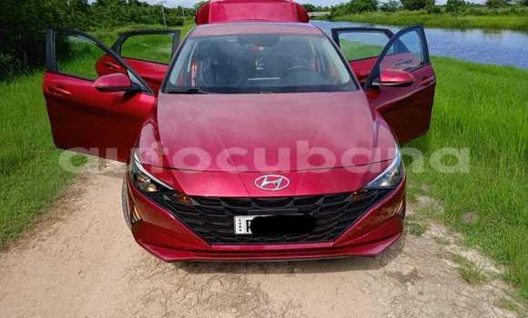 Comprar Usados Carro Hyundai Elantra Rojo en Antilla en Holguin Comprar Usados Carro Hyundai Elantra Rojo en Antilla en Holguin