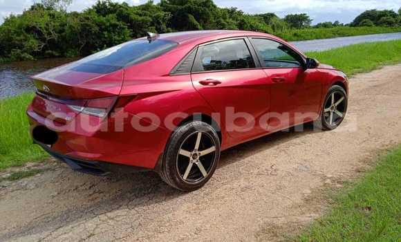 Buy Used Hyundai Elantra Red Car in Antilla in Holguin Buy Used Hyundai Elantra Red Car in Antilla in Holguin
