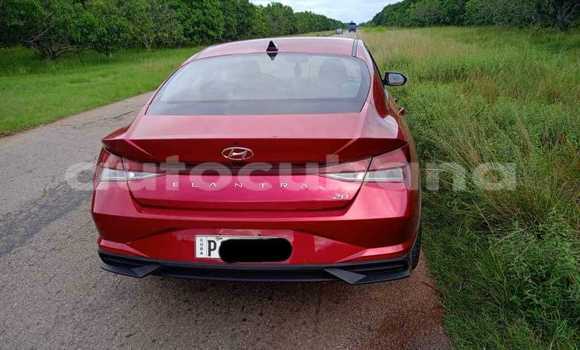 Buy Used Hyundai Elantra Red Car in Antilla in Holguin Buy Used Hyundai Elantra Red Car in Antilla in Holguin