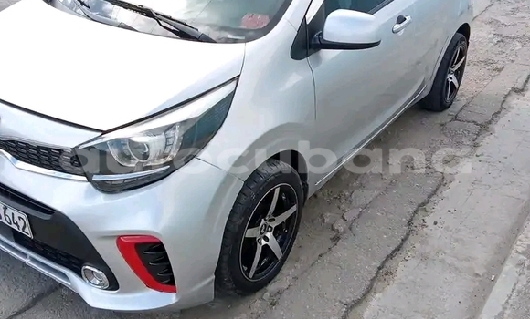 Comprar Usados Carro Kia Picanto Plata en Havana en Habana Comprar Usados Carro Kia Picanto Plata en Havana en Habana