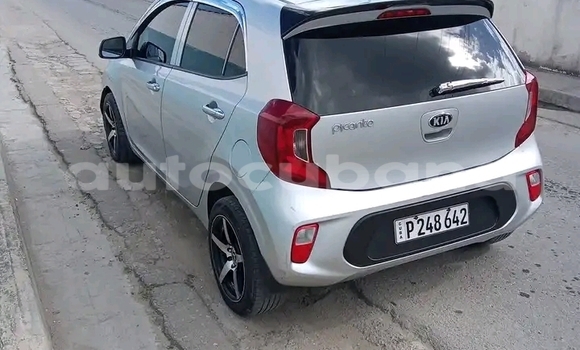 Comprar Usados Carro Kia Picanto Plata en Havana en Habana Comprar Usados Carro Kia Picanto Plata en Havana en Habana