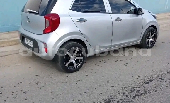 Comprar Usados Carro Kia Picanto Plata en Havana en Habana Comprar Usados Carro Kia Picanto Plata en Havana en Habana