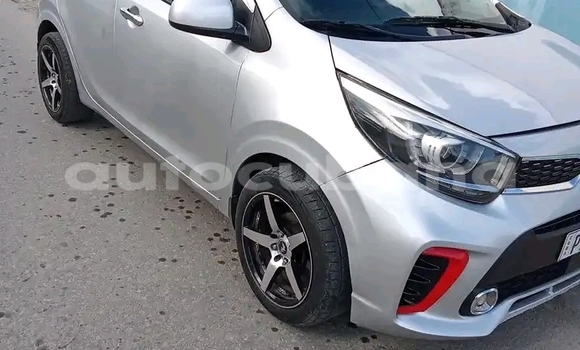 Comprar Usados Carro Kia Picanto Plata en Havana en Habana Comprar Usados Carro Kia Picanto Plata en Havana en Habana