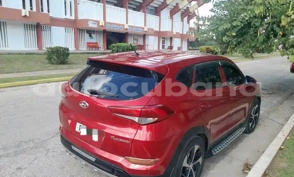 Buy Used Hyundai Tucson Red Car in Havana in Habana Buy Used Hyundai Tucson Red Car in Havana in Habana