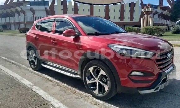Buy Used Hyundai Tucson Red Car in Havana in Habana Buy Used Hyundai Tucson Red Car in Havana in Habana