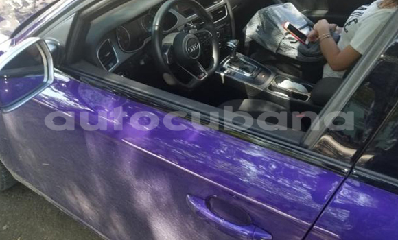 Buy Used Audi A4 Other Car in Juan Gualberto Gomez in Matanzas Buy Used Audi A4 Other Car in Juan Gualberto Gomez in Matanzas