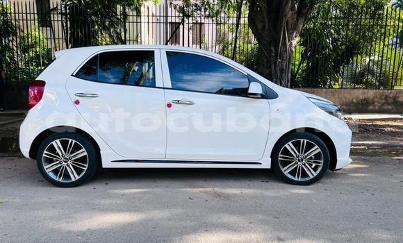 Buy Used Kia Picanto Other Car in Havana in Habana Buy Used Kia Picanto Other Car in Havana in Habana