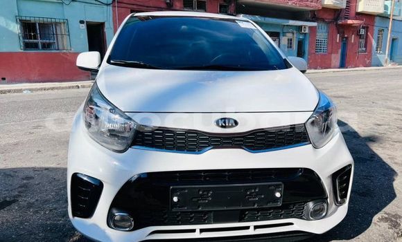 Comprar Usados Carro Kia Picanto Otro en Havana en Habana Comprar Usados Carro Kia Picanto Otro en Havana en Habana