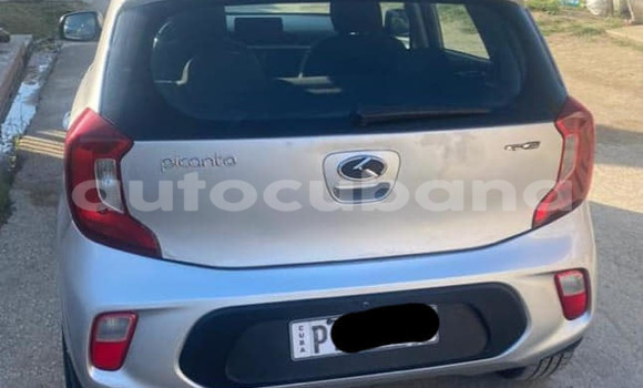 Comprar Usados Carro Kia Picanto Otro en Aguada de Pasajeros en Matanzas Comprar Usados Carro Kia Picanto Otro en Aguada de Pasajeros en Matanzas