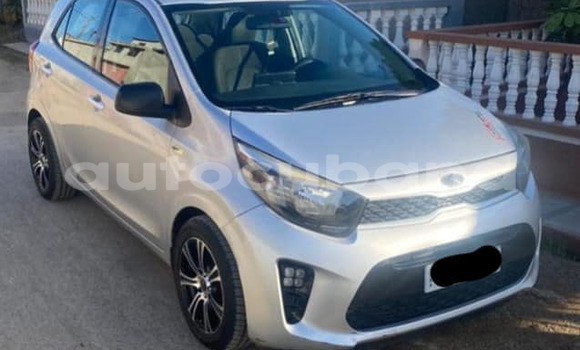 Comprar Usados Carro Kia Picanto Otro en Aguada de Pasajeros en Matanzas Comprar Usados Carro Kia Picanto Otro en Aguada de Pasajeros en Matanzas