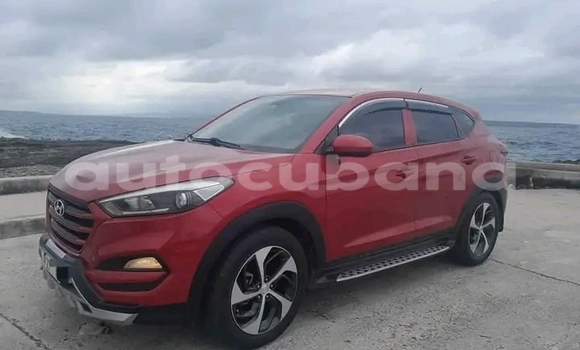 Comprar Usados Carro Hyundai Tucson Rojo en Baguanos en Holguin Comprar Usados Carro Hyundai Tucson Rojo en Baguanos en Holguin