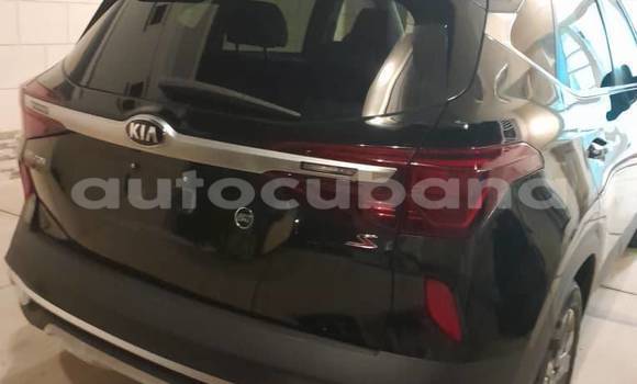 Comprar Usados Carro Kia Sedona Negro en Aguada de Pasajeros en Matanzas Comprar Usados Carro Kia Sedona Negro en Aguada de Pasajeros en Matanzas