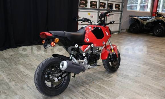 Comprar Usados Moto Honda Grom Rojo en Havana en Habana Comprar Usados Moto Honda Grom Rojo en Havana en Habana
