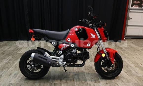 Comprar Usados Moto Honda Grom Rojo en Havana en Habana Comprar Usados Moto Honda Grom Rojo en Havana en Habana