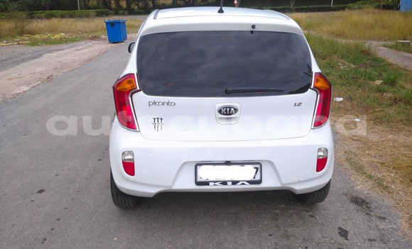 Comprar Usados Carro Kia Picanto Blanco en Aguada de Pasajeros en Matanzas Comprar Usados Carro Kia Picanto Blanco en Aguada de Pasajeros en Matanzas