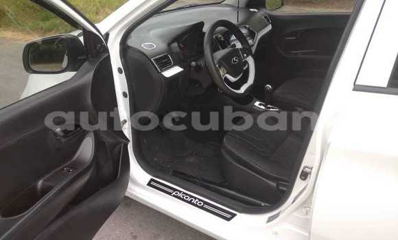 Comprar Usados Carro Kia Picanto Blanco en Aguada de Pasajeros en Matanzas Comprar Usados Carro Kia Picanto Blanco en Aguada de Pasajeros en Matanzas