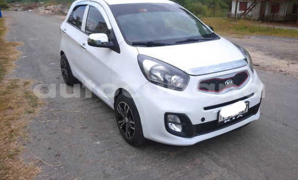 Comprar Usados Carro Kia Picanto Blanco en Aguada de Pasajeros en Matanzas Comprar Usados Carro Kia Picanto Blanco en Aguada de Pasajeros en Matanzas