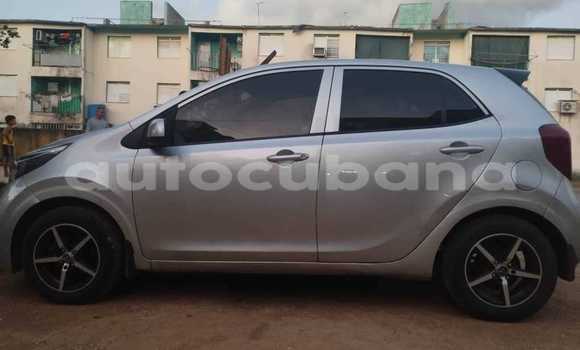 Comprar Usados Carro Kia Picanto Otro en Antilla en Holguin Comprar Usados Carro Kia Picanto Otro en Antilla en Holguin