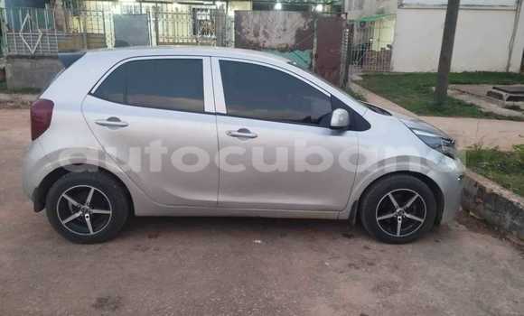 Comprar Usados Carro Kia Picanto Otro en Antilla en Holguin Comprar Usados Carro Kia Picanto Otro en Antilla en Holguin