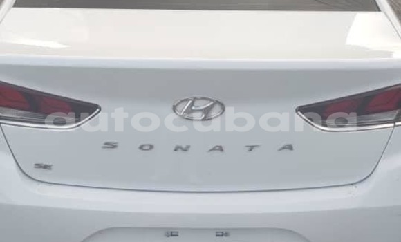 Comprar Usados Carro Hyundai Sonata Blanco en Alacranes en Matanzas Comprar Usados Carro Hyundai Sonata Blanco en Alacranes en Matanzas