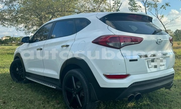 Comprar Usados Carro Hyundai Tucson Blanco en Antilla en Holguin Comprar Usados Carro Hyundai Tucson Blanco en Antilla en Holguin