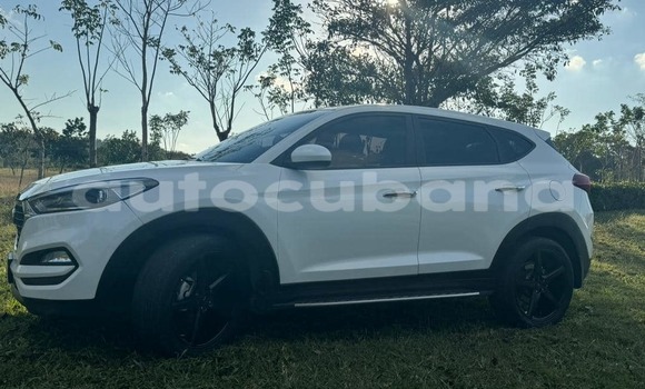 Comprar Usados Carro Hyundai Tucson Blanco en Antilla en Holguin Comprar Usados Carro Hyundai Tucson Blanco en Antilla en Holguin
