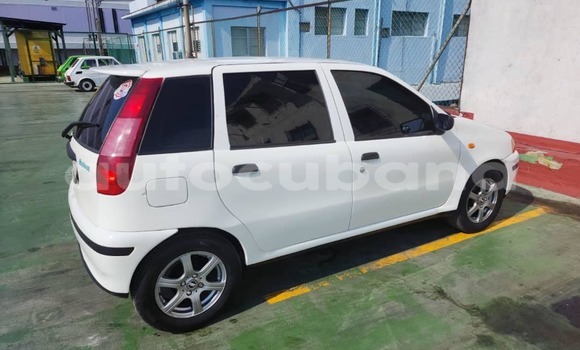 Comprar Usados Carro Fiat Punto Blanco en Alacranes en Matanzas Comprar Usados Carro Fiat Punto Blanco en Alacranes en Matanzas