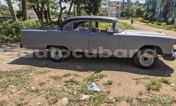 Medium with watermark adler diplomat matanzas aguacate 3024