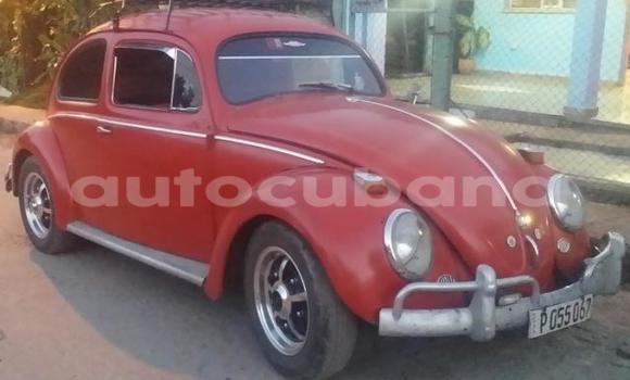 Buy Used Volkswagen Escarabajo Other Car in Varadero in Matanzas