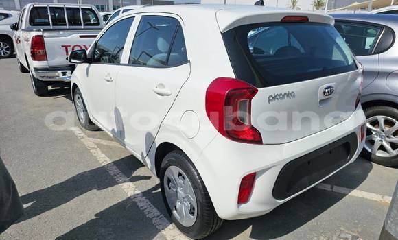 Comprar Usados Carro Kia Picanto Otro en Havana en Habana Comprar Usados Carro Kia Picanto Otro en Havana en Habana