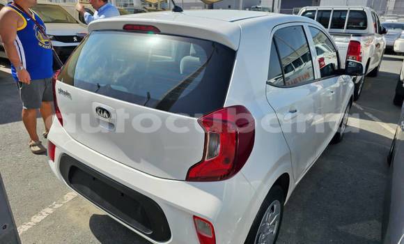 Comprar Usados Carro Kia Picanto Otro en Havana en Habana Comprar Usados Carro Kia Picanto Otro en Havana en Habana