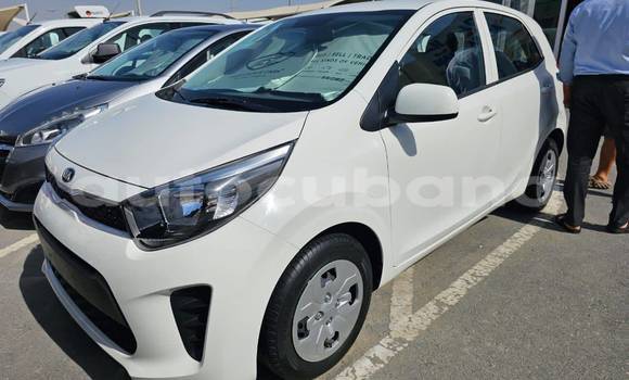 Comprar Usados Carro Kia Picanto Otro en Havana en Habana Comprar Usados Carro Kia Picanto Otro en Havana en Habana