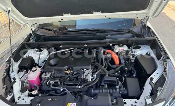 Comprar Usados Carro Toyota RAV 4 Otro en Agramonte en Matanzas Comprar Usados Carro Toyota RAV 4 Otro en Agramonte en Matanzas