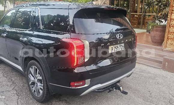 Comprar Usados Carro Hyundai Pony Negro en Alacranes en Matanzas Comprar Usados Carro Hyundai Pony Negro en Alacranes en Matanzas