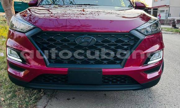 Comprar Usados Carro Hyundai Tucson Rojo en Aguacate en Matanzas Comprar Usados Carro Hyundai Tucson Rojo en Aguacate en Matanzas