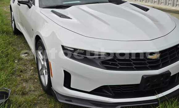 Comprar Usados Carro Chevrolet Camaro Blanco en Alacranes en Matanzas Comprar Usados Carro Chevrolet Camaro Blanco en Alacranes en Matanzas