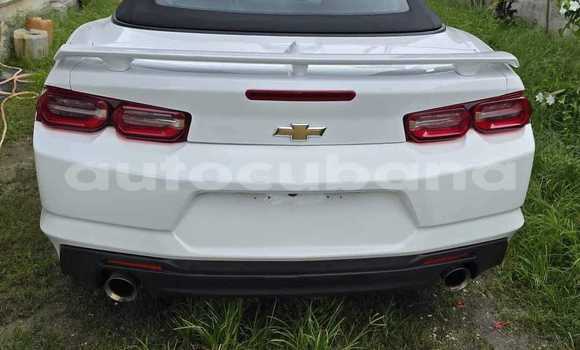 Comprar Usados Carro Chevrolet Camaro Blanco en Alacranes en Matanzas Comprar Usados Carro Chevrolet Camaro Blanco en Alacranes en Matanzas