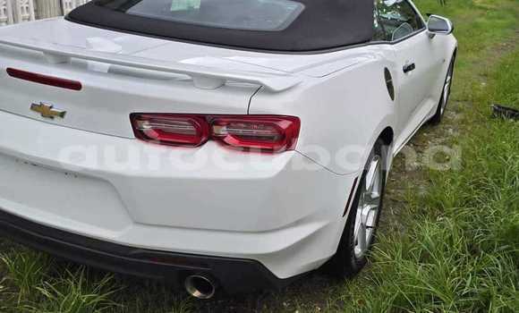 Comprar Usados Carro Chevrolet Camaro Blanco en Alacranes en Matanzas Comprar Usados Carro Chevrolet Camaro Blanco en Alacranes en Matanzas