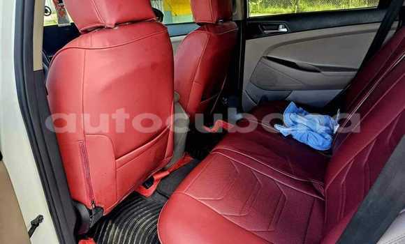 Comprar Usados Carro Hyundai Tucson Blanco en Aguada de Pasajeros en Matanzas Comprar Usados Carro Hyundai Tucson Blanco en Aguada de Pasajeros en Matanzas