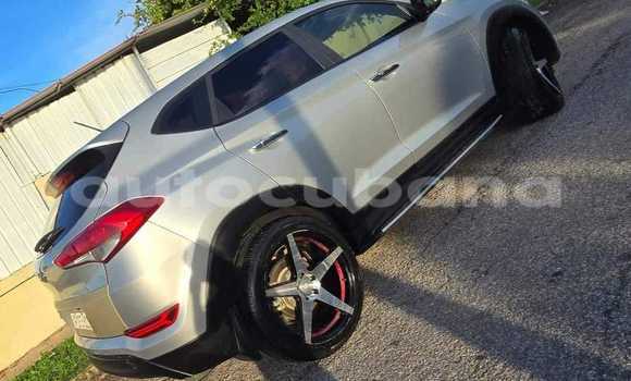 Buy Used Hyundai Tucson Other Car in Alacranes in Matanzas Buy Used Hyundai Tucson Other Car in Alacranes in Matanzas