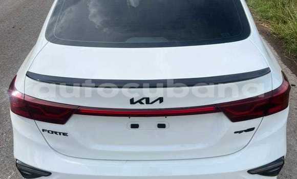 Comprar Usados Carro Kia Forte Blanco en Aguacate en Matanzas Comprar Usados Carro Kia Forte Blanco en Aguacate en Matanzas